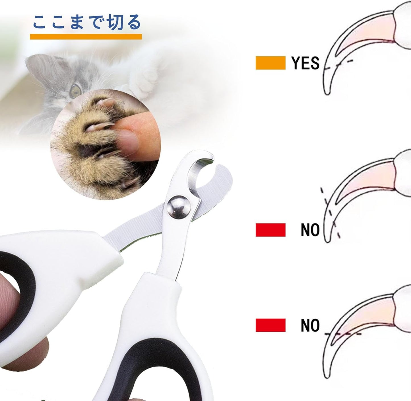 SunStartsPets【初心者に 猫用カーブ爪切り：ストレスなくスパッと切れる！ペット用爪切りで簡単にネイルケア。持ちやすく安全な選択肢、猫と小型犬に最適！ (橙色)