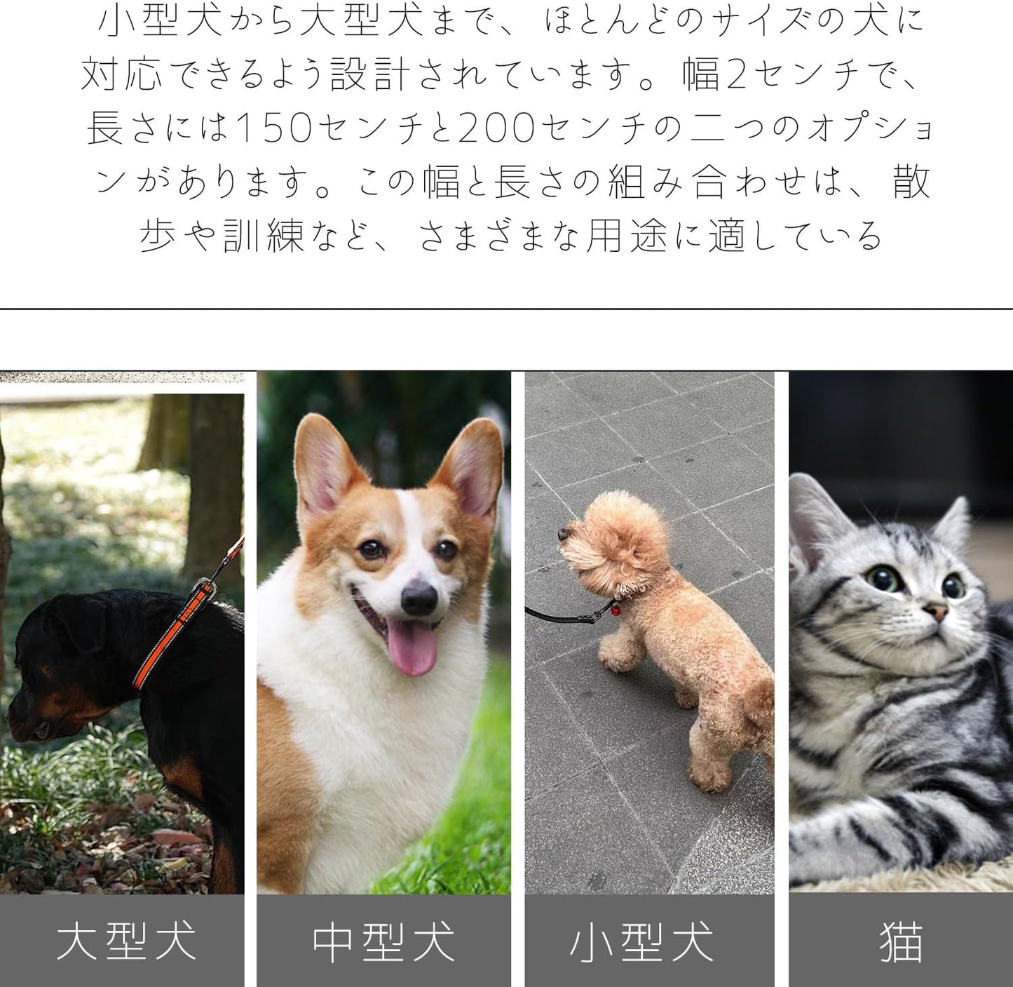 SunStarsPets 犬用ロングリード｜反射素材・調整可・150cm（オレンジ）小型〜大型犬対応