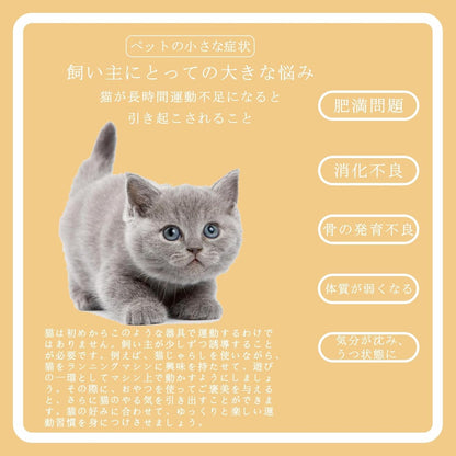 SunStarsPets キャットホイール｜猫用ランニングマシン・軽量・組み立て簡単｜運動不足解消
